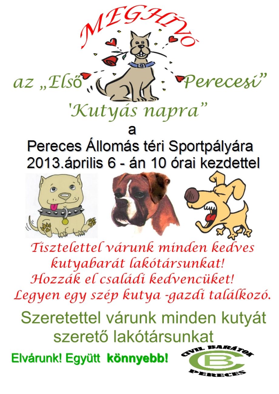 17781-kutyasnap
