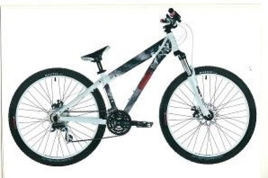 17957-bringa