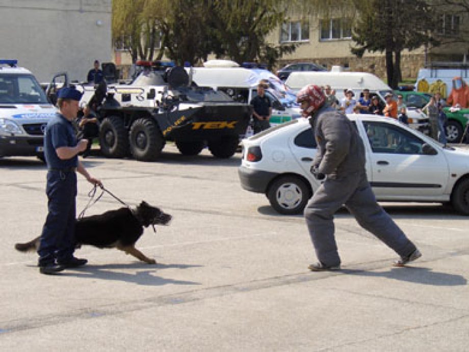 18075-rendorsegi-nyiltnap-011