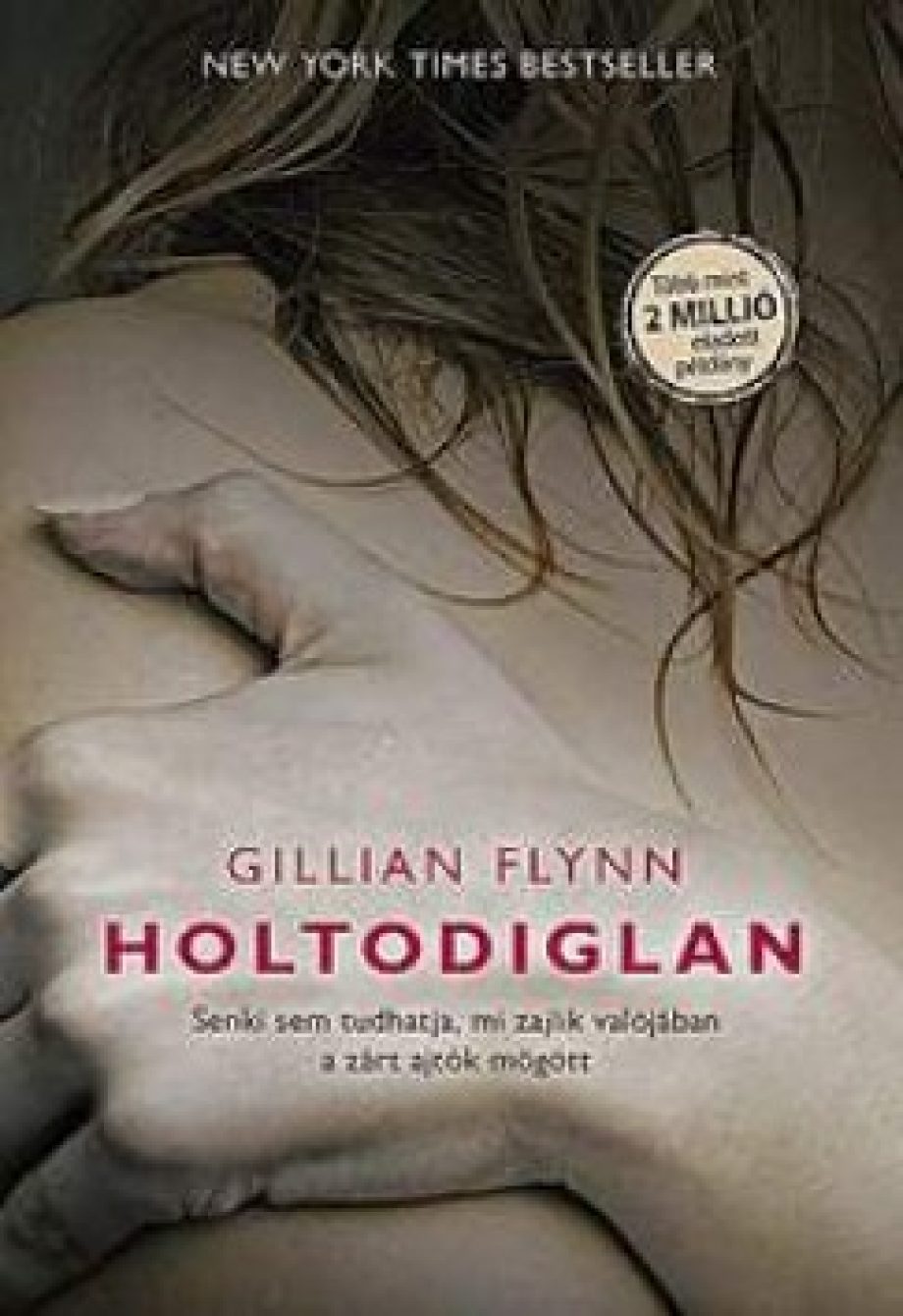 18218-holtodiglan_rm
