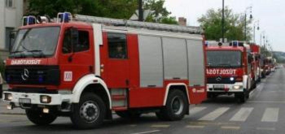 18239-tuzolto