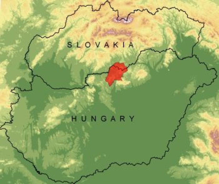 1865-husz-millio-eves-lelet