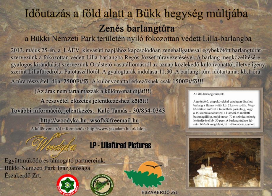 18670-zens-barlangtra