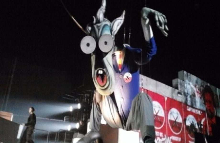 19753-fal5_rm