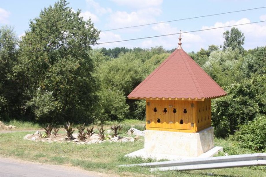 19833-galvacs-felsokut