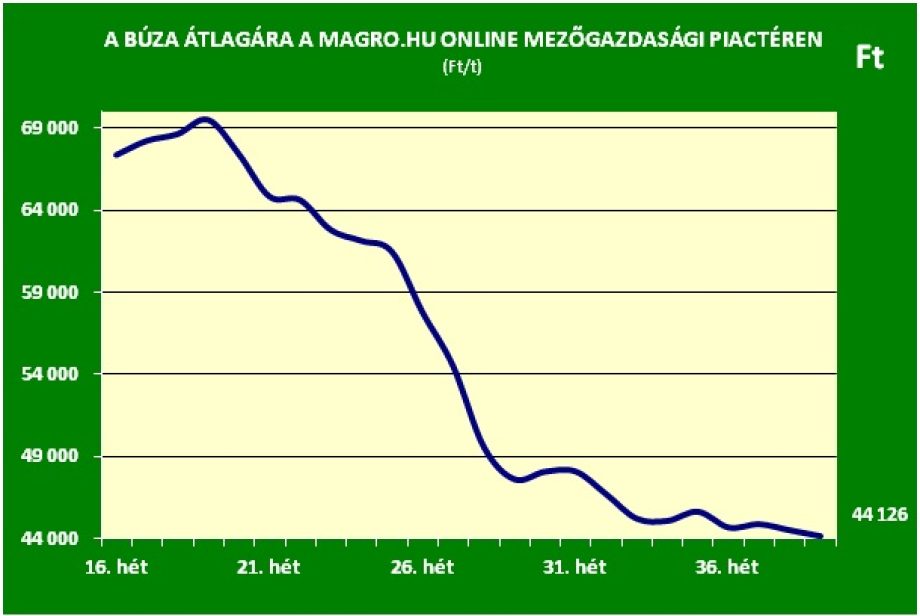 20786-buza