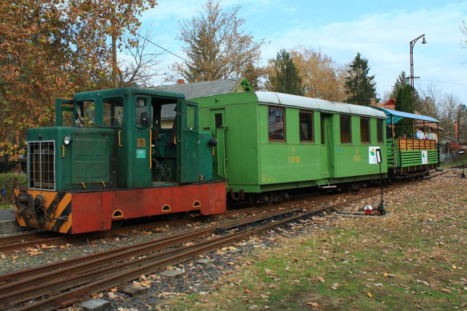 21296-pev1-szakerd-zrt