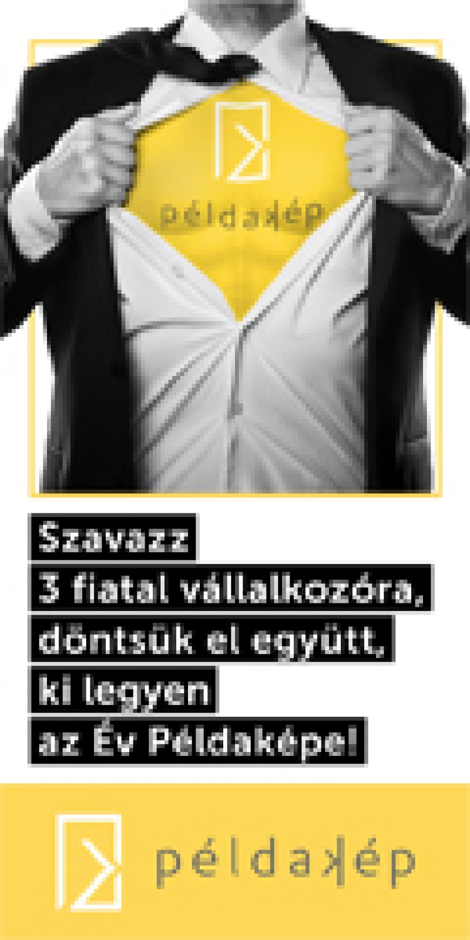 22229-fiatal-valalkozok