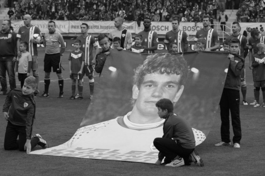 22867-rakaczki-600x400