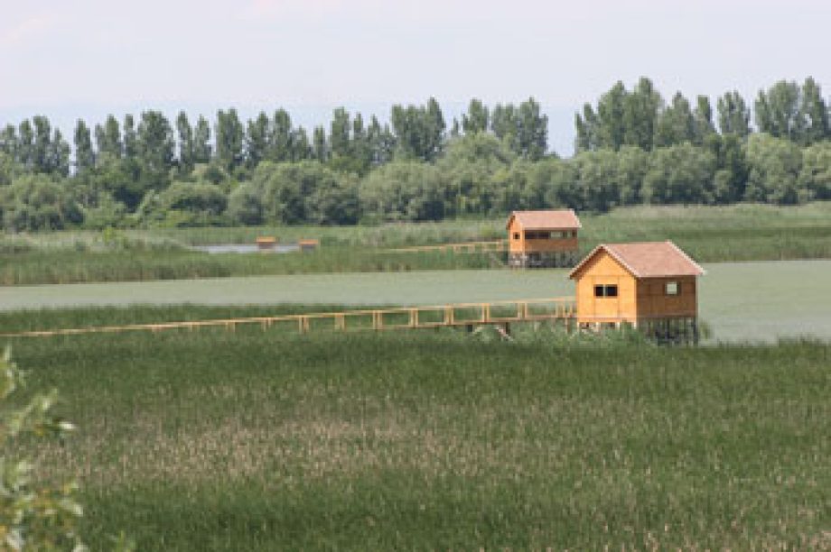Tisza-tavi Ökocentrum – „a természet élménytára”