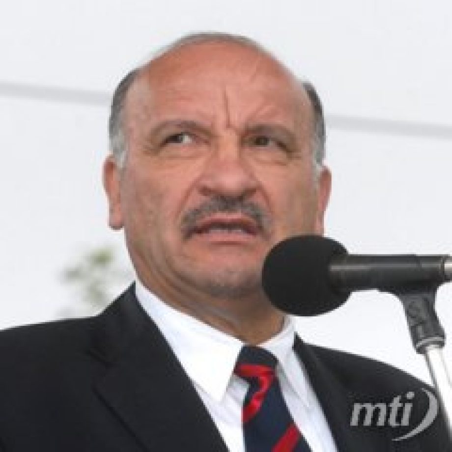 Másfél év felfüggesztett börtönt kapott Benedek Fülöp