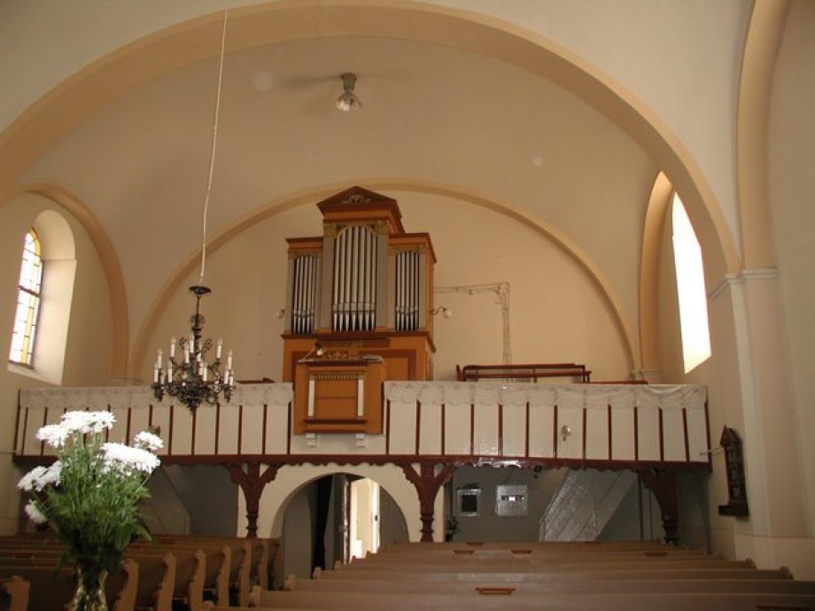 23464-karzat-es-orgona