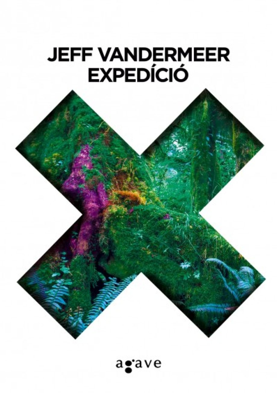 24861-expedci
