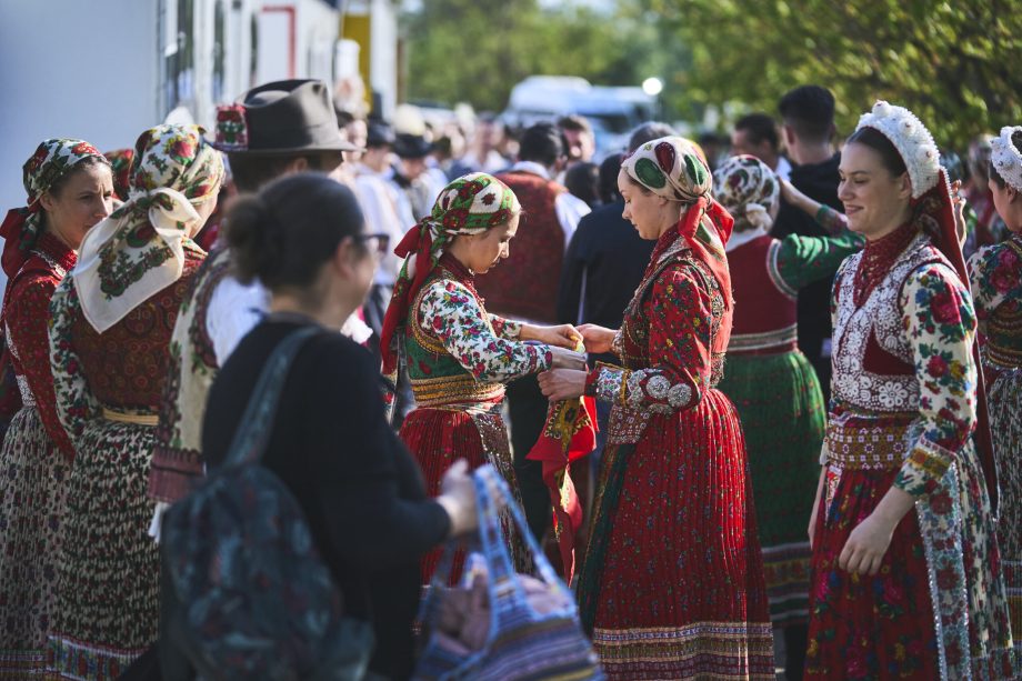 250425 sajtonap _GNK1640