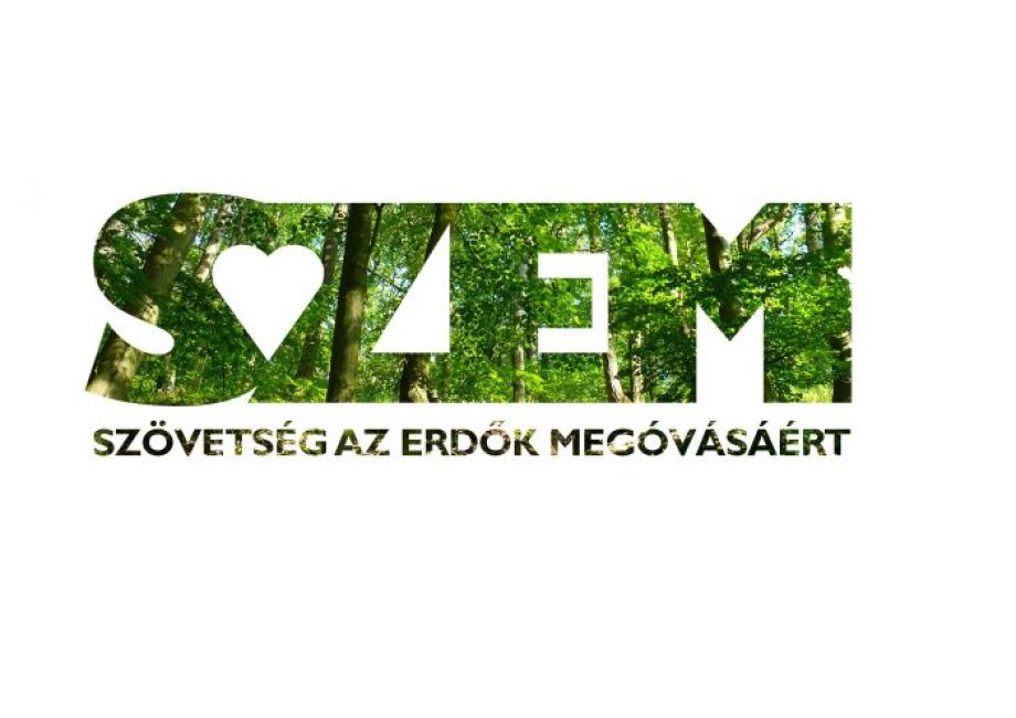 25584-szem