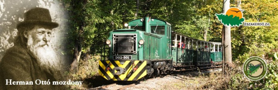26050-herman
