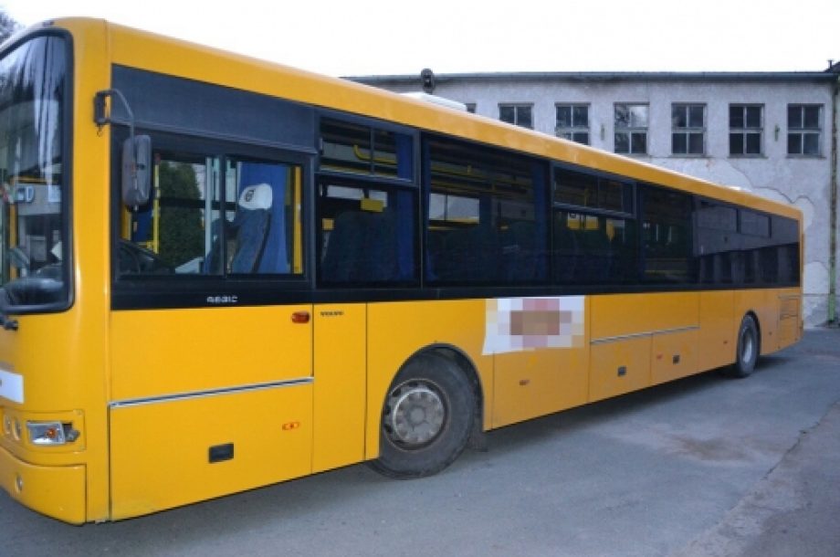26083-buszrongalok