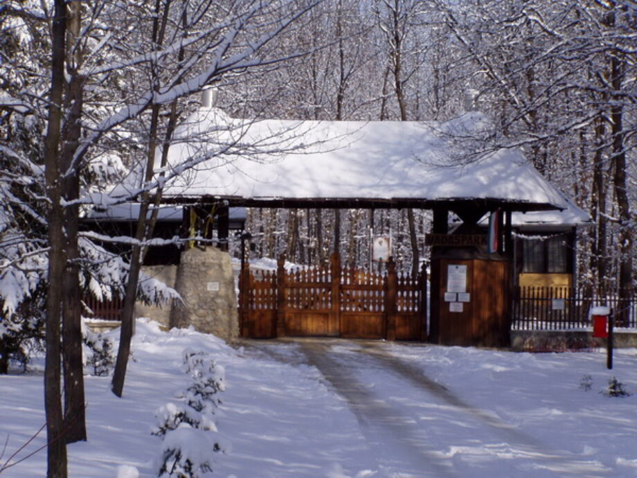 A Miskolci Állatkert és Kultúrpark az ünnepek alatt is várja látogatóit!