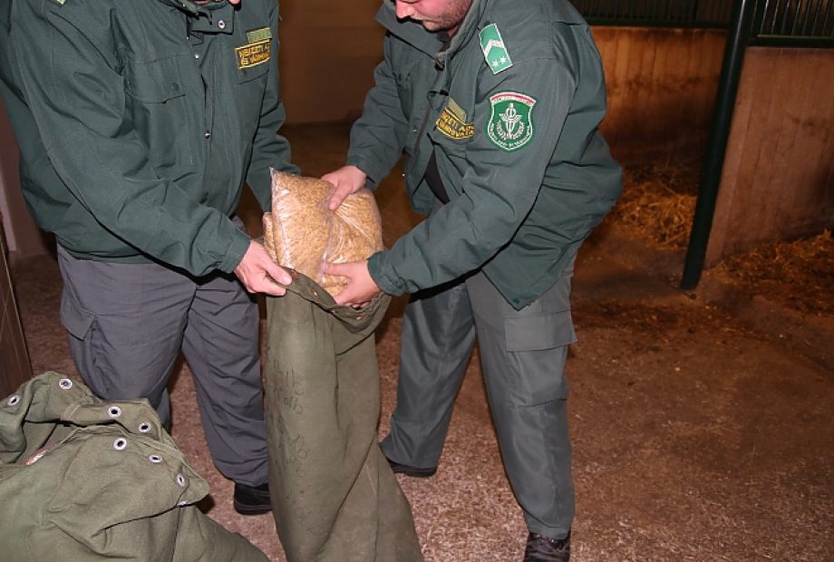 28365-jelents-mennyisg