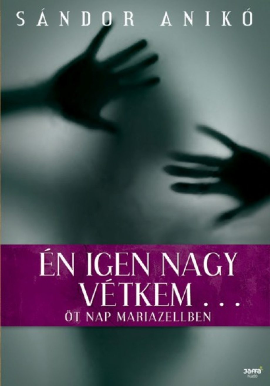 29156-vtkem