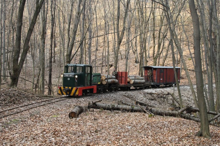 30739