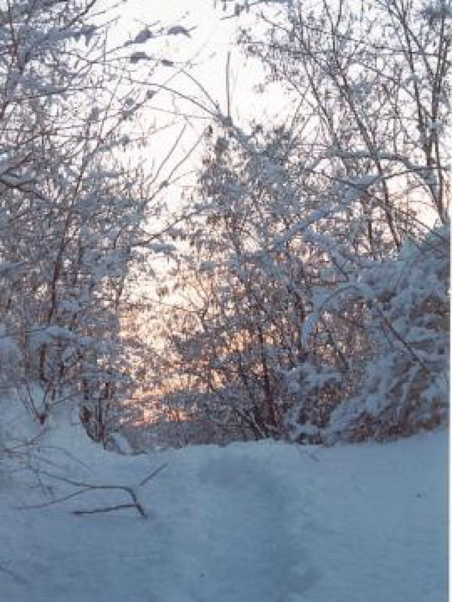 Az utakon a hó az úr