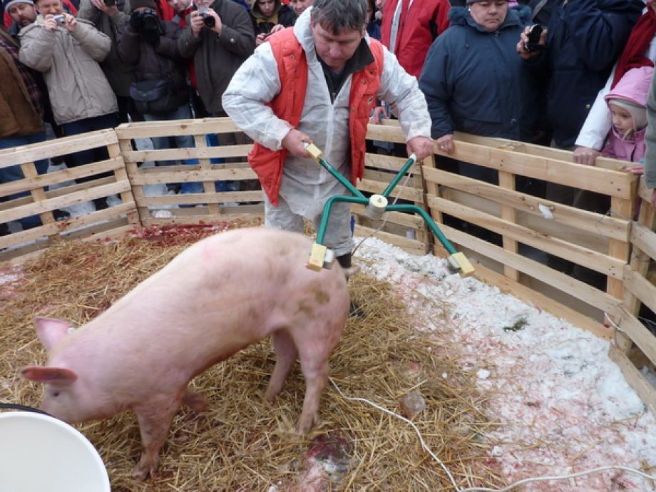 Első böllérfesztivál Ónodban