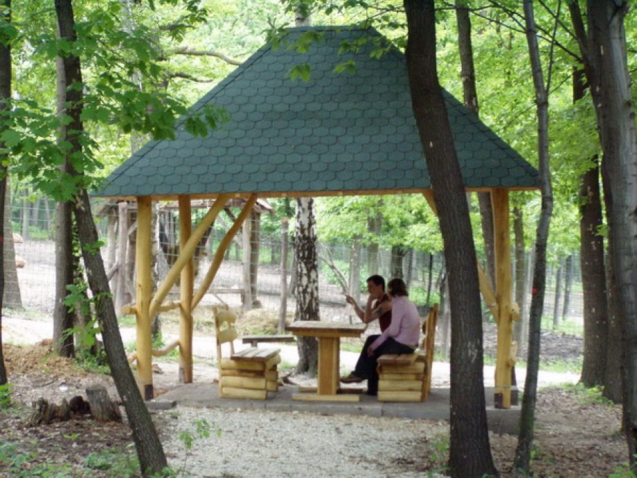 Bükki ZOO kicsiknek napközi