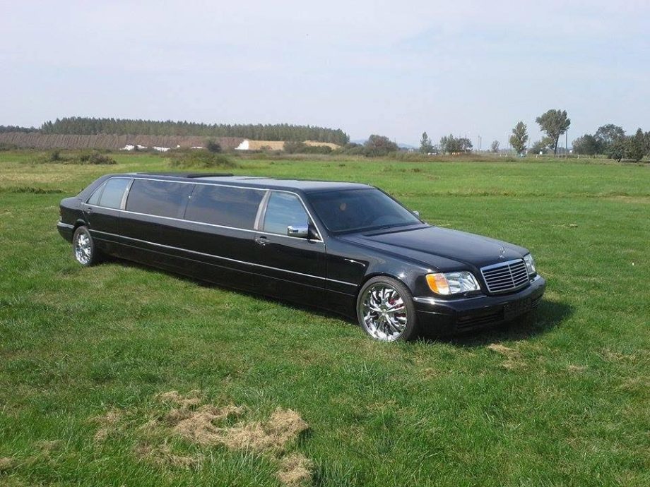 42081