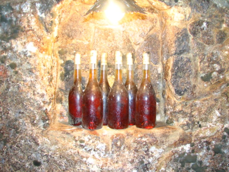 Borverseny Miskolcon