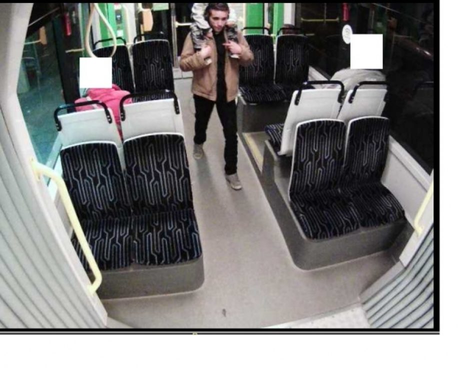 44553