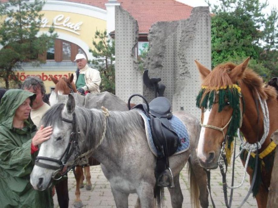 Lovas túrázók Szerencsen