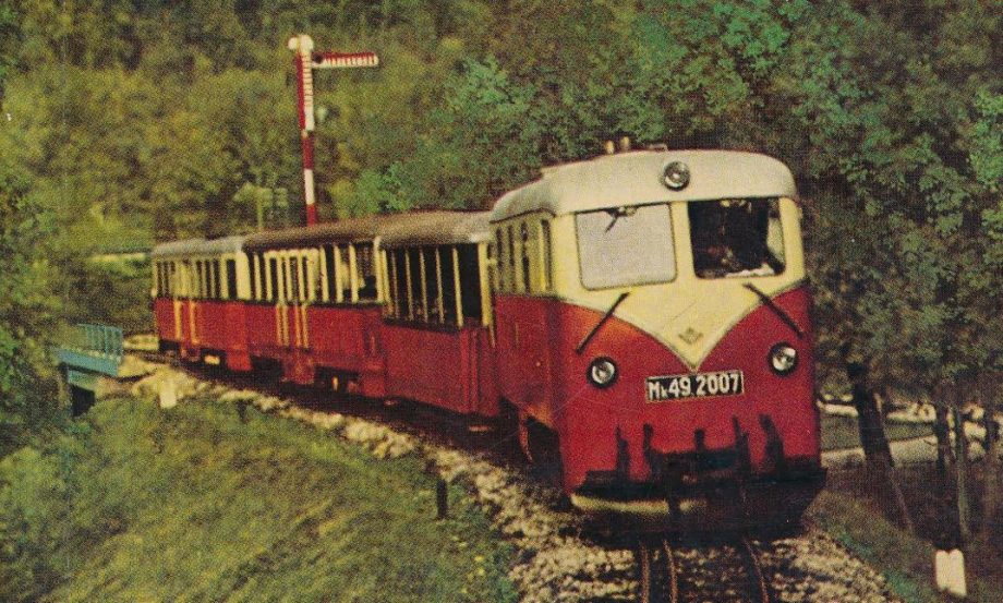 49053
