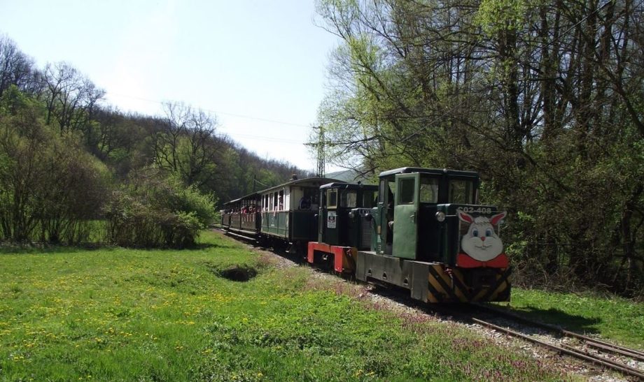 49291