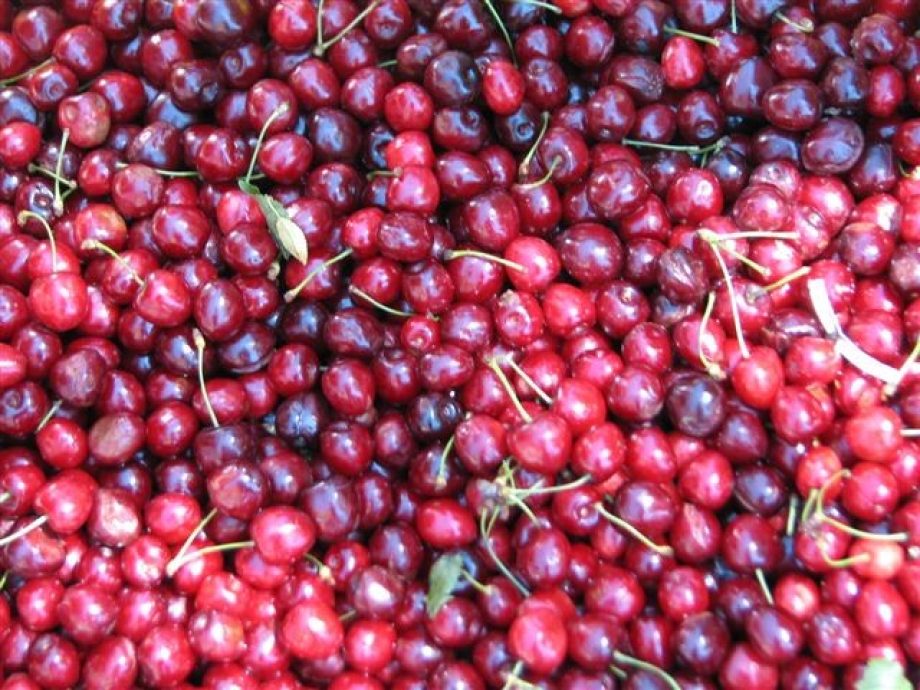 „Szomolya mosolya” szomorkásra sikeredett