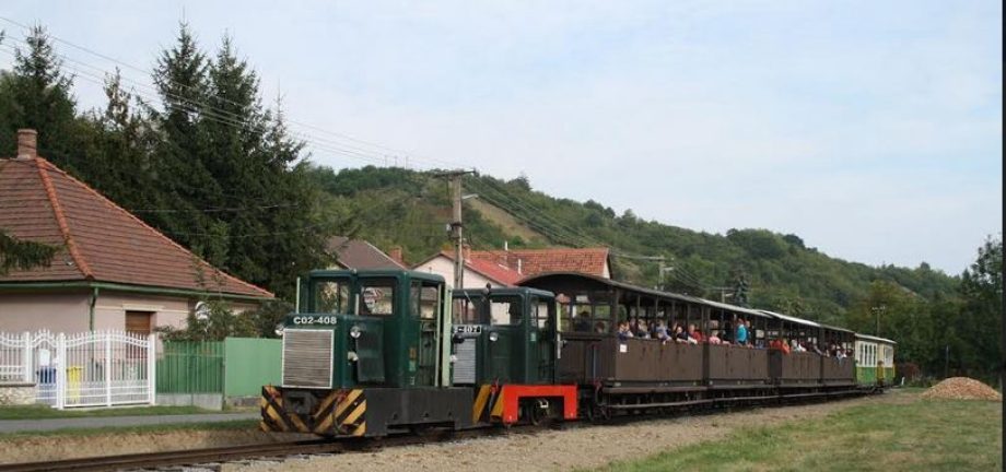 51491