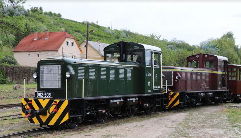 53238