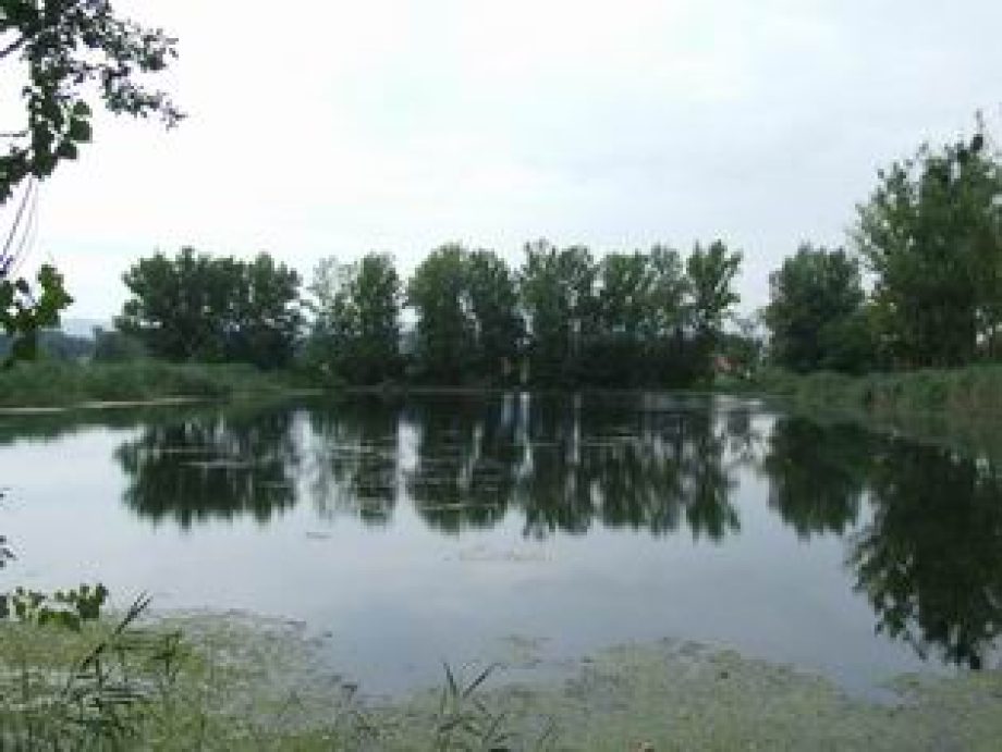 5606-a-teglagyari-toba-fulladt-egy-no