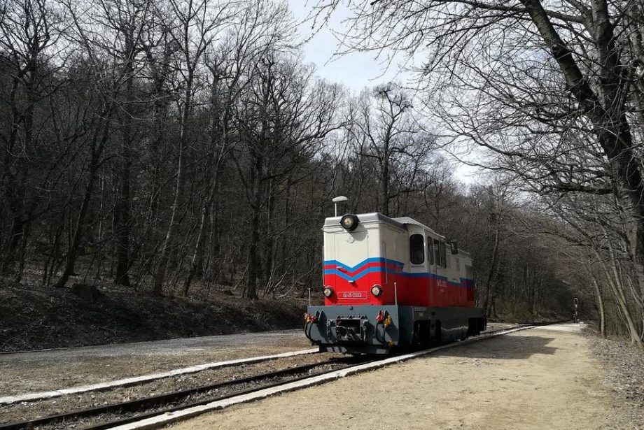 56386