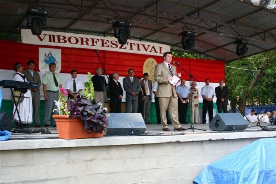5890-folyt-a-bor-es-vasarnap-a-jegeso-a-vii-tolcsvai-borfesztivalon-01