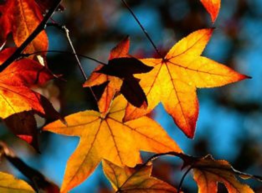 6155-oszi-akcio-a-hotel-termalban