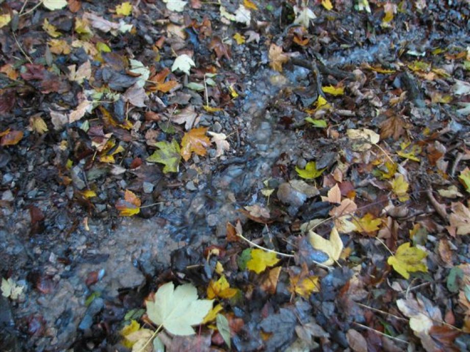 6806-turanapok-az-oszi-szunetben