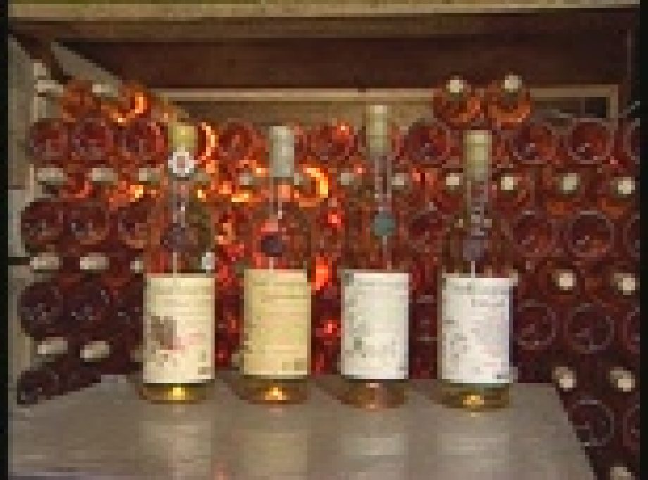 7011-szent-gyorgy-hegyi-bio-bor