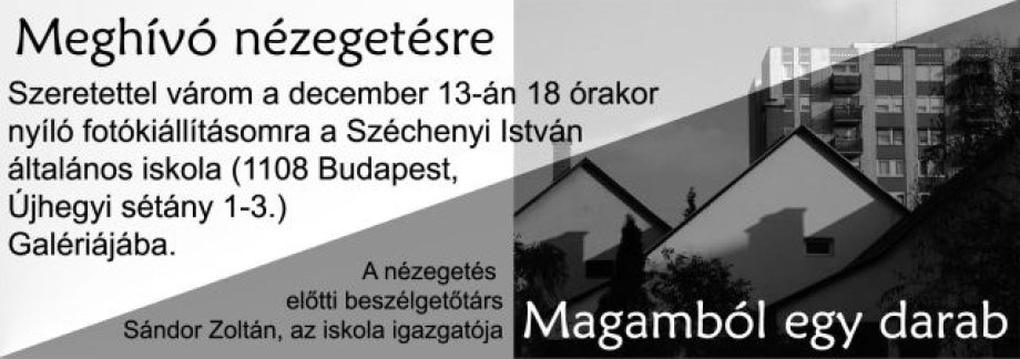 7313-meghivo-nezegetesre