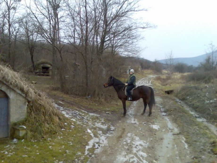 8187-siker-a-kozos-lovas-szolgalat-soran-01