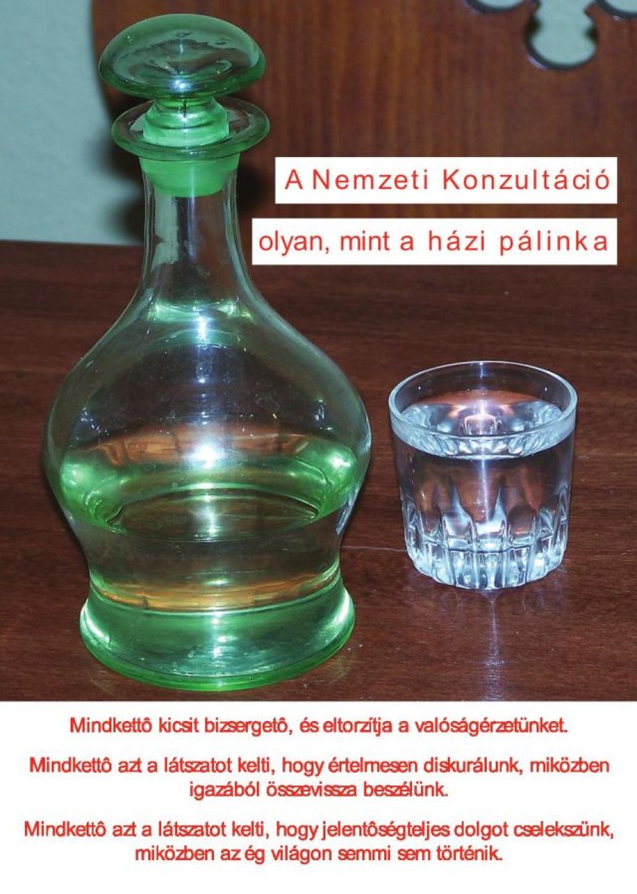 8285-lmp-palinka