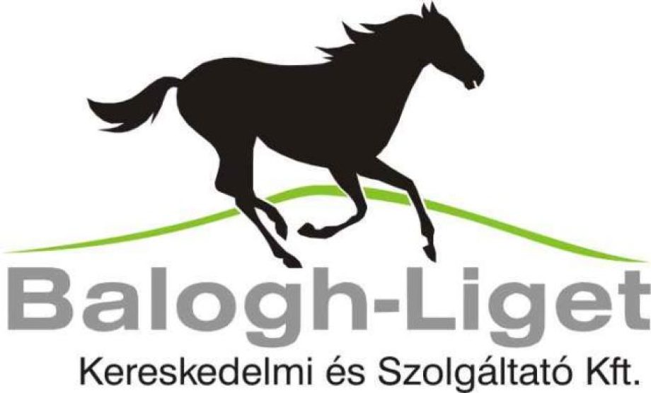 8388-orszagos-ketteshajto-bajnoksag
