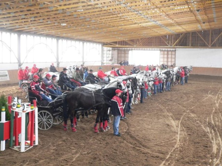 8486-tobb-szaz-nez-az-orszagos-kettes-fogathajto-fedeles-bajnoksagon-a-balogh-liget-lovas-klubban-01