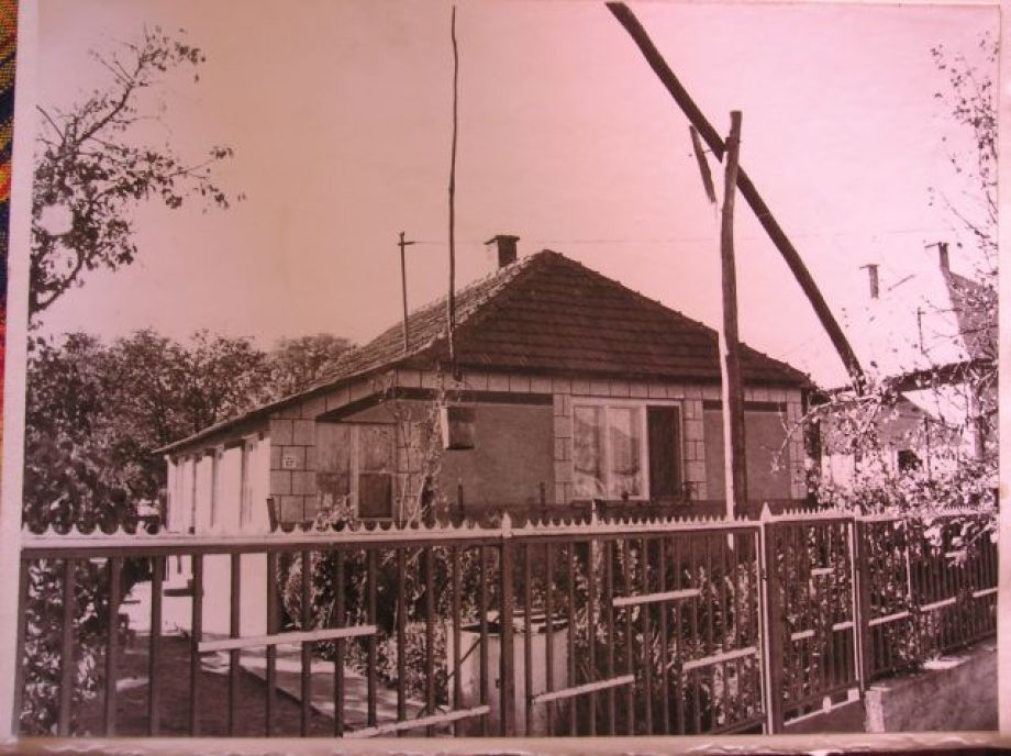8886-mamanak-koeszoenhetem