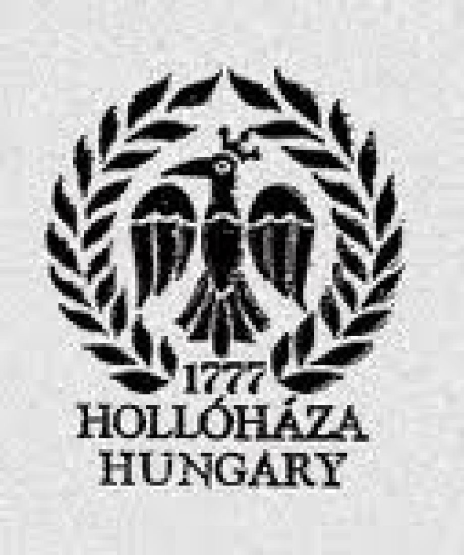 9317-fizeteskeptelenne-valt-hollohaza